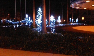 111223_1938~01.jpg